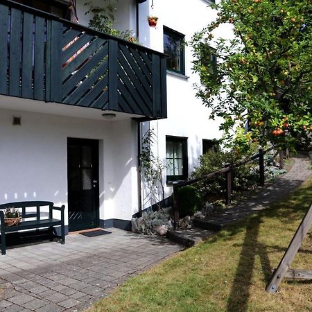 Ferienwohnung Sonnenhang-Hartmann 奥尔斯贝格 外观 照片